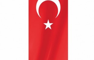 Kırlangıç Bayrak